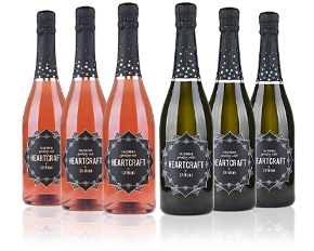 Celebrate. Life. Everyday! | Gift Pack Image